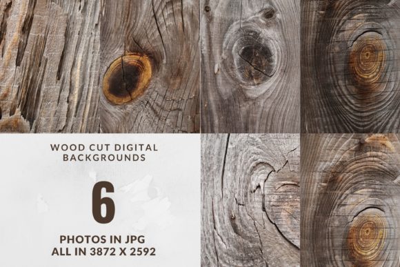 Download Old Tree Wood Cut Background - Premium Resources